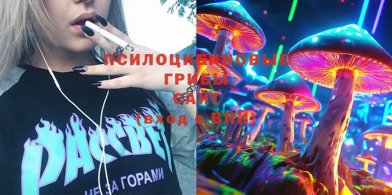 Псилоцибиновые грибы MAGIC MUSHROOMS  Дубовка 